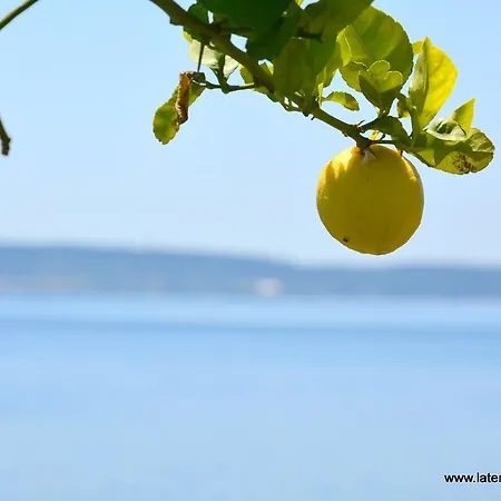 Nocleg ze śniadaniem La Terrazza Sul Lago